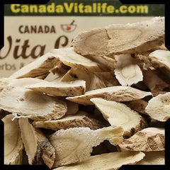 Astragalus Root - Oval Slices
