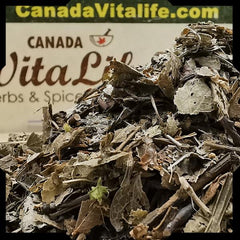 Bilberry Leaves – Cut & Sifted