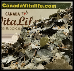 Birch Leaves – Cut & Sifted
