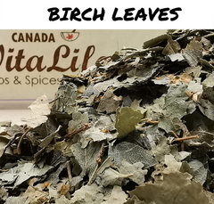 Birch Leaves