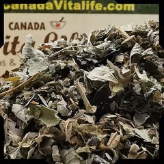Blackberry Leaves – Cut & Sifted