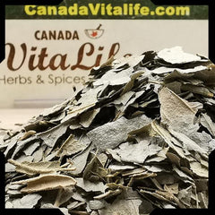 Boldo Leaves – Cut & Sifted