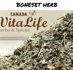 Boneset