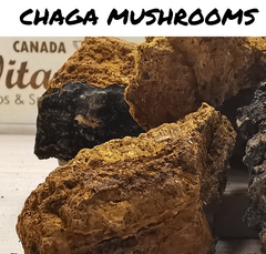 Canadian Chaga Mushrooms Chunks