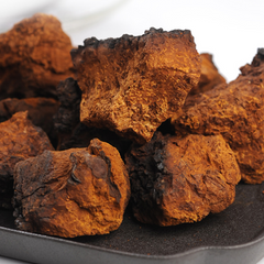 Canadian Chaga Mushrooms Chunks