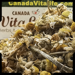 Chamomile Flower - Whole