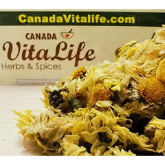 Chrysanthemum Flower - Whole