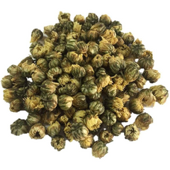 Chrysanthemum Flower - Buds