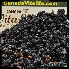 Elderberry