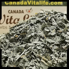 Eucalyptus Leaves - Cut & Sifted