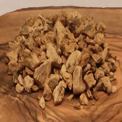Gentian Root