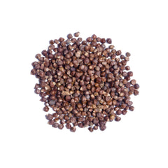 Grains of Paradise