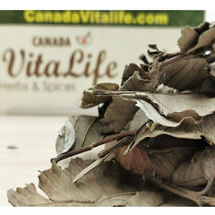 Guava Leaves - Whole