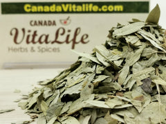 Senna Leaves - Cut & Sifted
