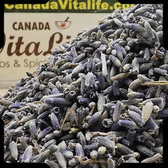 Lavender Flower Super Blue