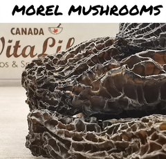 Morel Mushrooms
