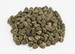 Moringa Seeds