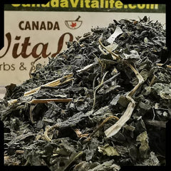 Nettle Leaves (Stinging) - Cut & Sifted