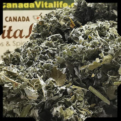 Raspberry Leaves - Cut & Sifted
