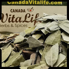 Uva Ursi Leaves - Cut & Sifted