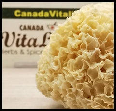 White Fungus - Whole