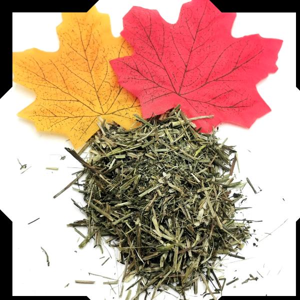 Cleavers Herb Tea Trial Pack | Cut and Sifted