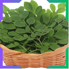 Moringa Leaf Powder