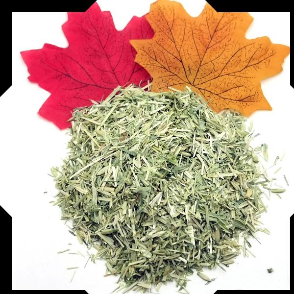Oatstraw Herb Tea Trial Pack - Cut and Sifted