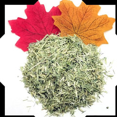 Oatstraw Herb Tea Trial Pack - Cut and Sifted