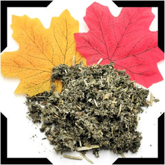 Raspberry Leaves Tea Trial Pack - Cut and Sifted