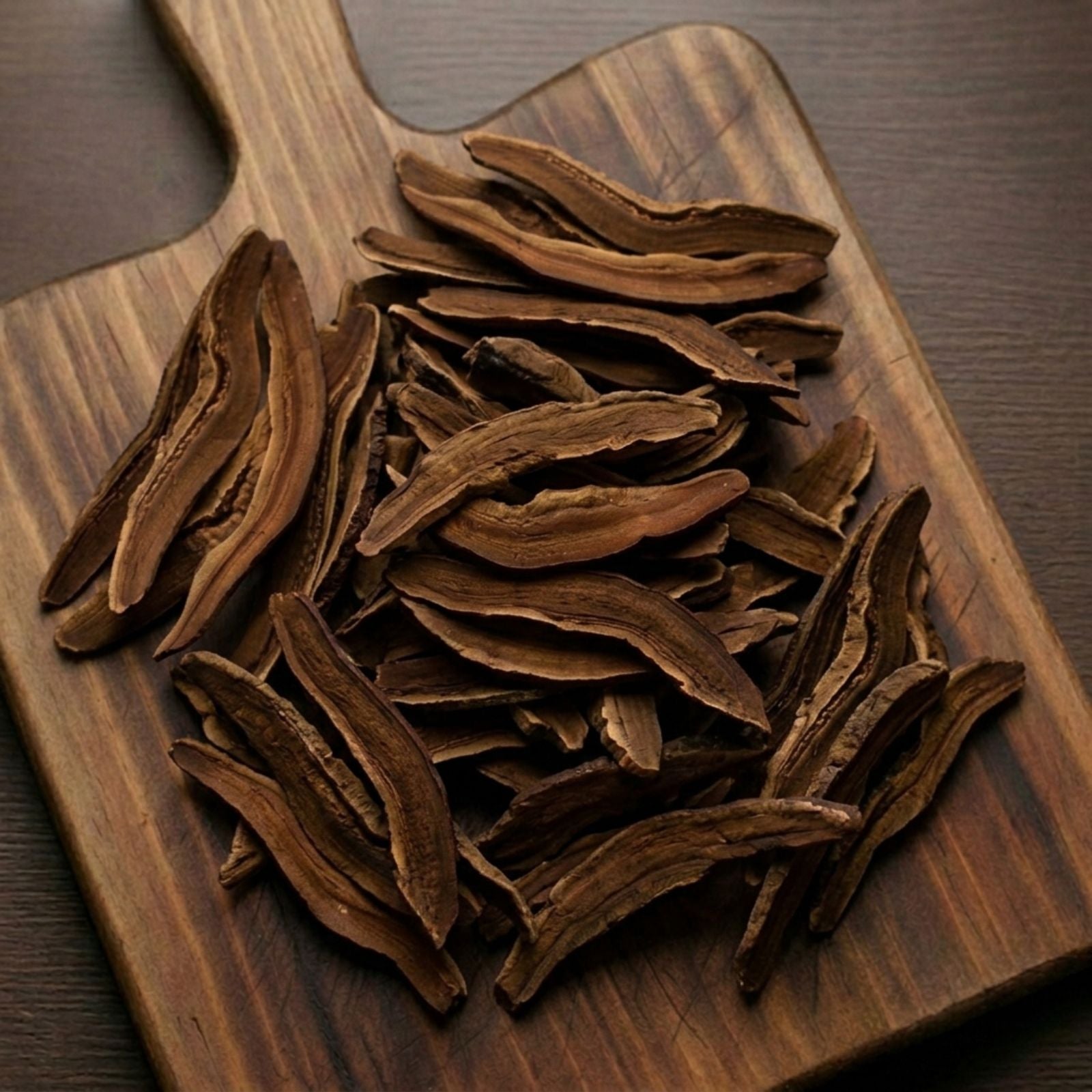 Black Reishi mushrooms (Ganoderma sinense) for traditional botanical decoctions and wellness infusions.