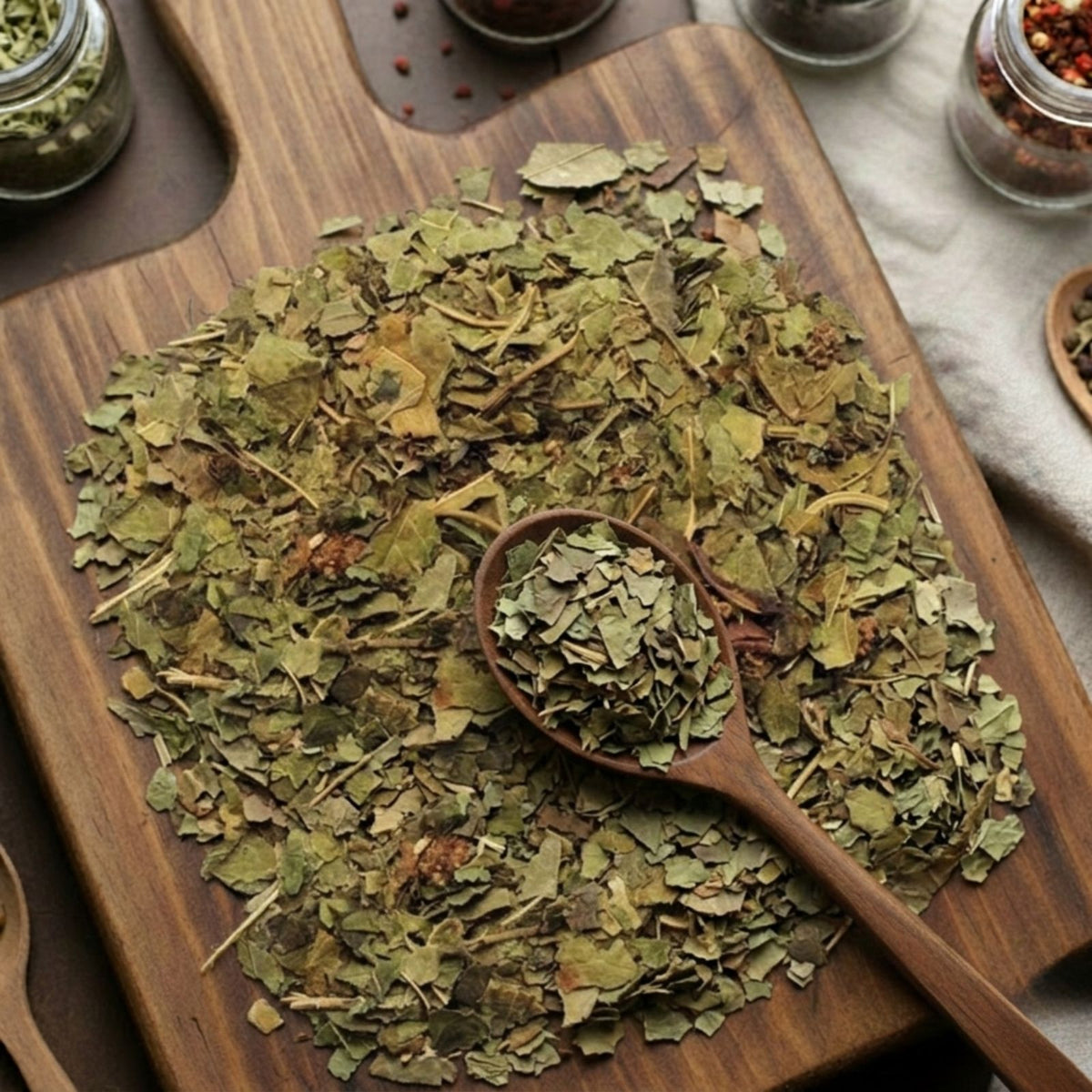 Mulberry leaves (Morus alba) for traditional botanical infusions and metabolic support.
