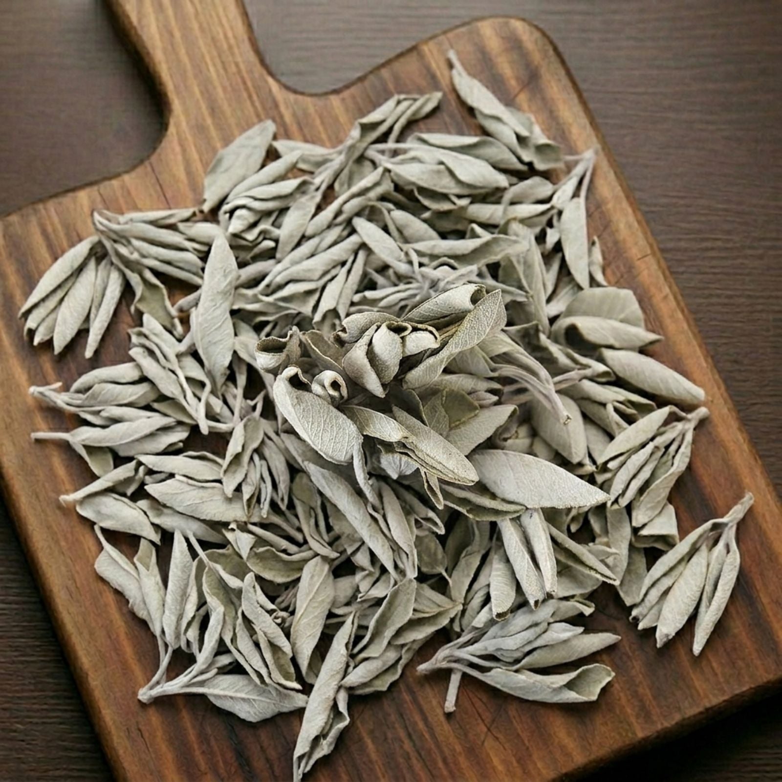 White Sage leaves (Salvia apiana) for traditional ceremonial use and aromatic botanical infusions.