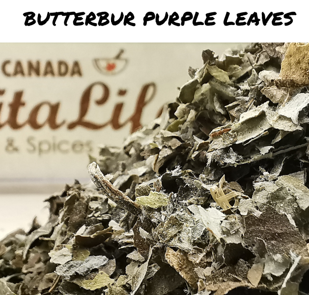 Butterbur Purple Leaves
