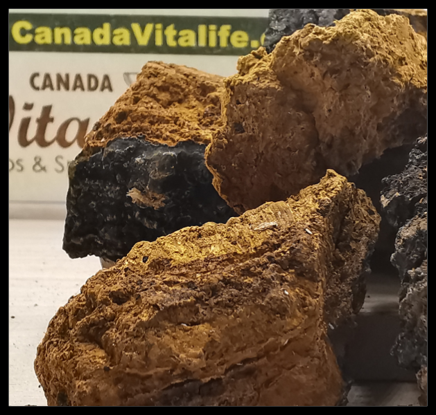 Canadian Chaga Mushrooms Chunks