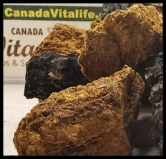 Canadian Chaga Mushrooms Chunks
