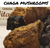 Canadian Chaga Mushrooms | CanadaVitaLife.com