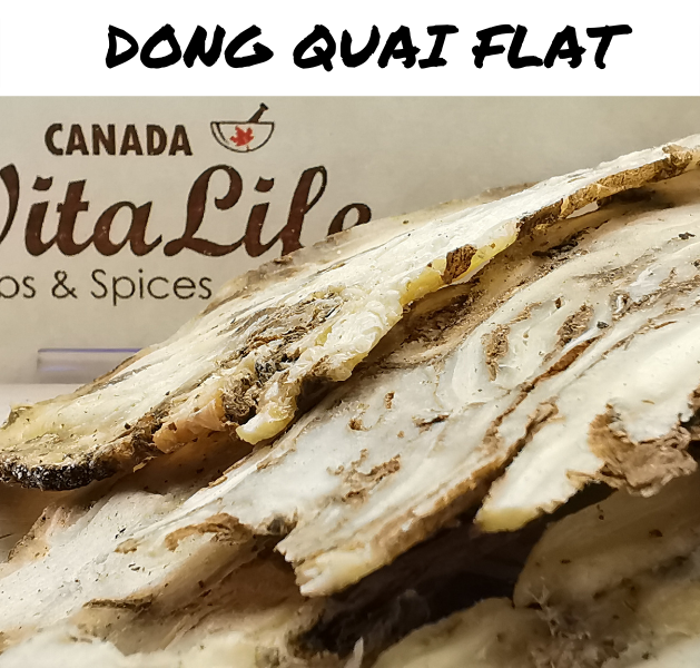 Premium Dong Quai Flat | CanadaVitaLife.com