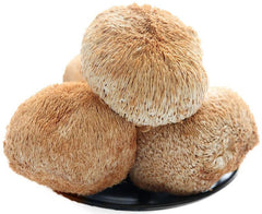 Lion's Mane Mushroom