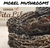 Morel Mushrooms