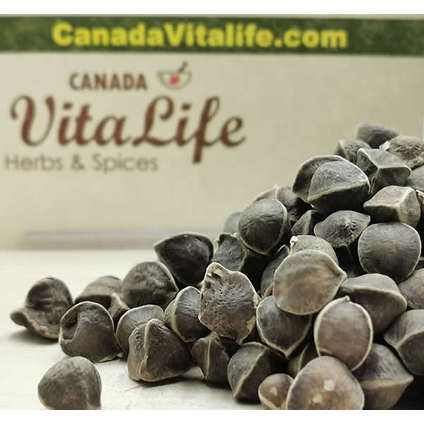 Moringa Seeds | CanadaVitaLife.com