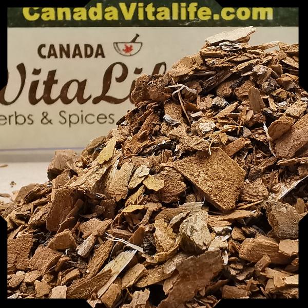 Sassafras Tree Bark | CanadaVitaLife.com
