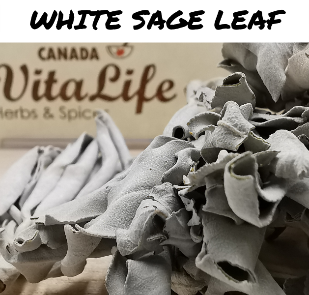 White Sage Leaves