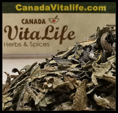 Yerba Santa Herb - Cut & Sifted