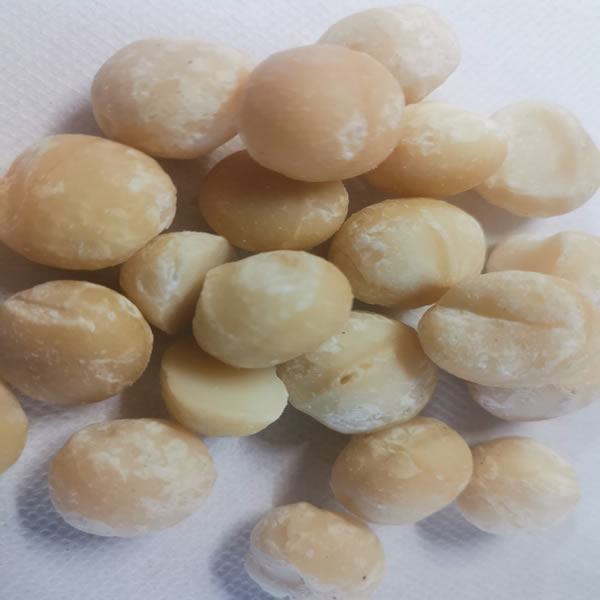 Macadamia Nuts